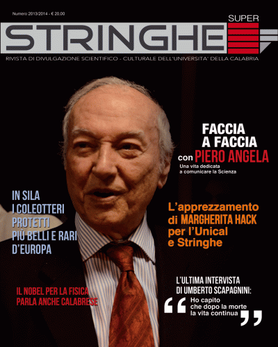 Stringhe 2013-1/2014